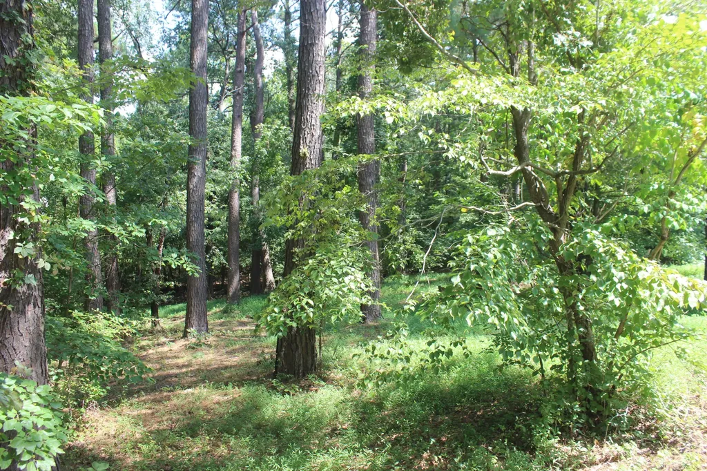 15 Harborview Lane Benton KY 42025