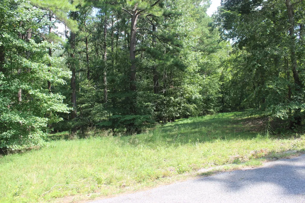 15 Harborview Lane Benton KY 42025