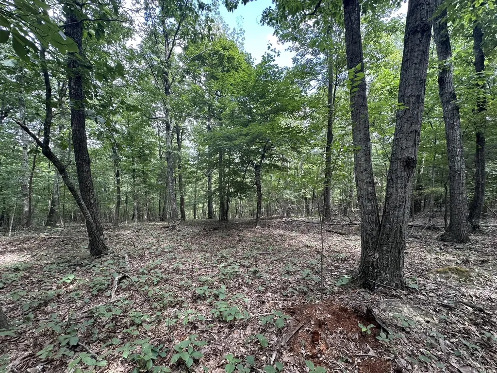 1013 Donahue Princeton KY 42445