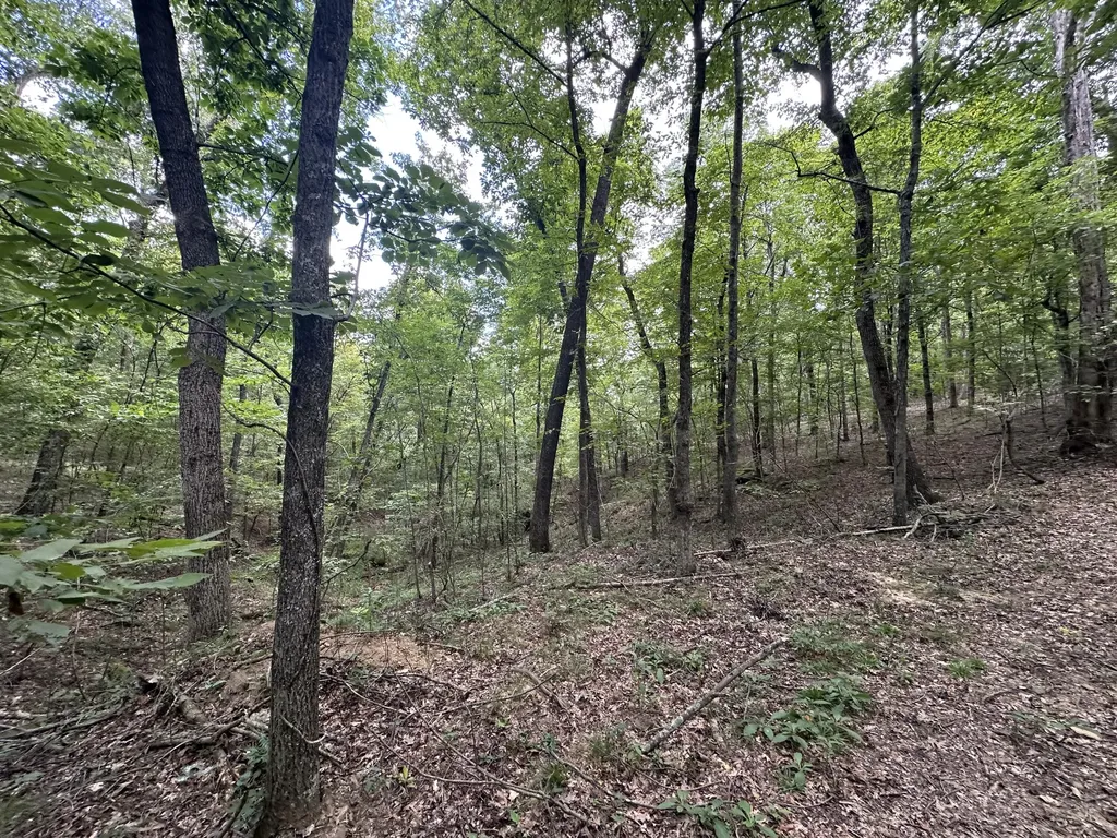 1013 Donahue Princeton KY 42445