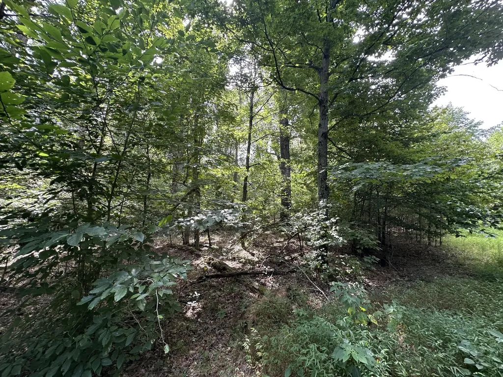 1013 Donahue Princeton KY 42445