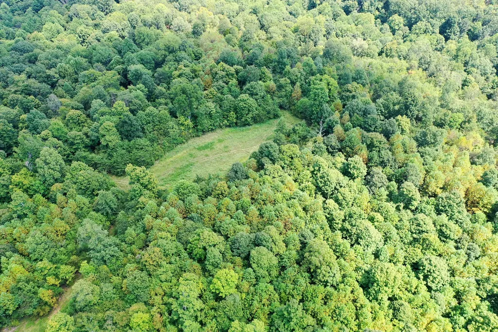 1013 Donahue Princeton KY 42445