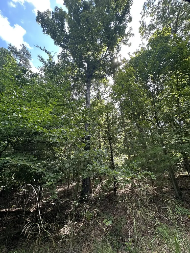 1013 Donahue Princeton KY 42445