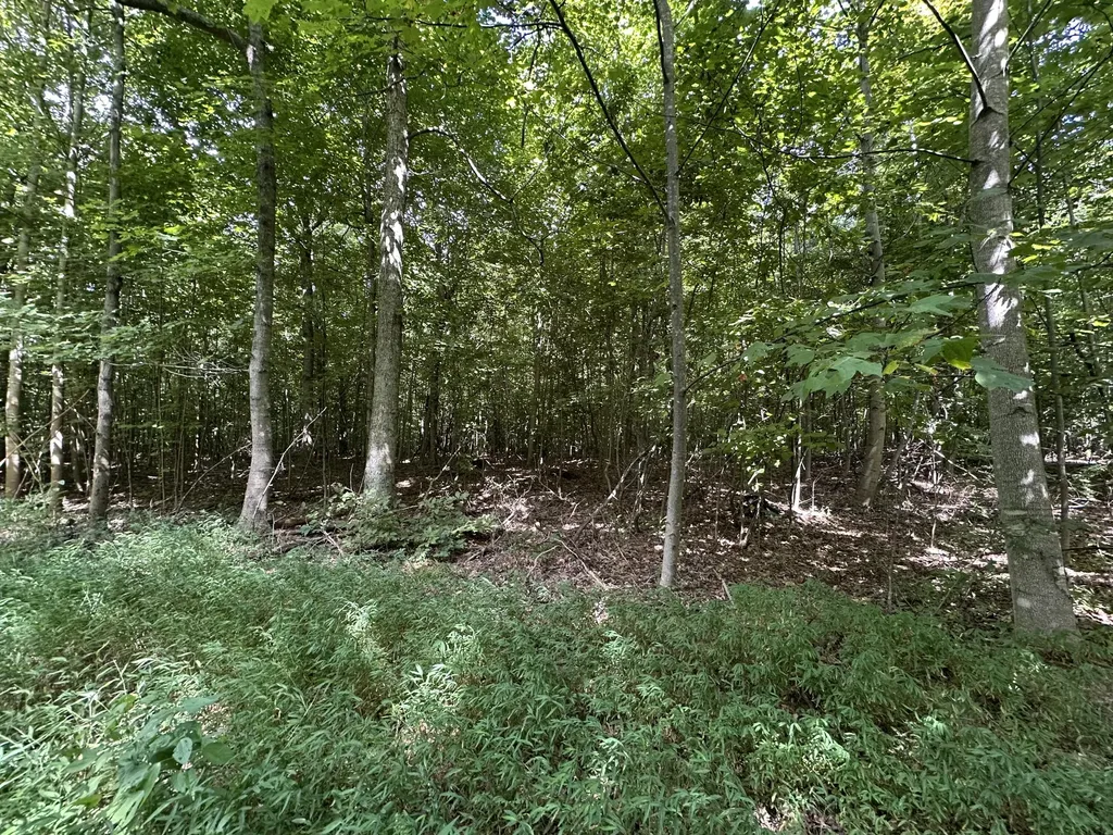1013 Donahue Princeton KY 42445