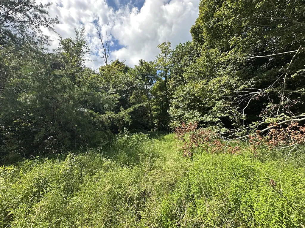 1013 Donahue Princeton KY 42445