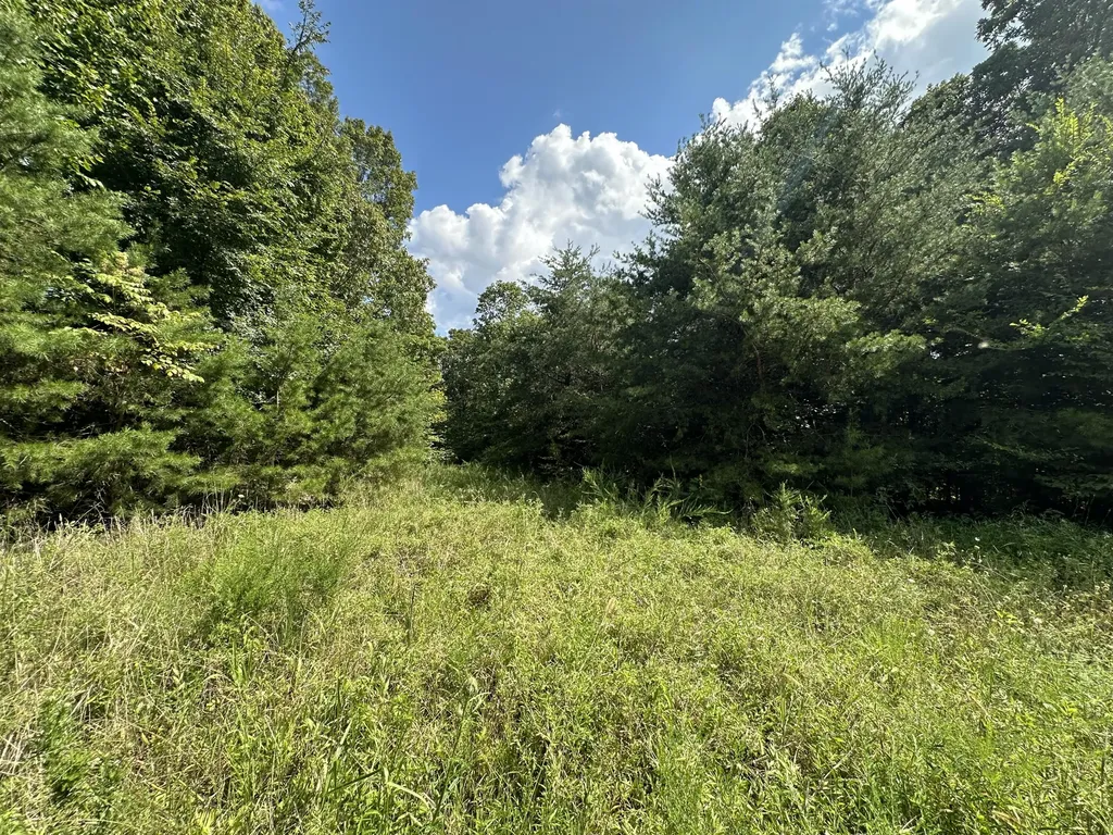1013 Donahue Princeton KY 42445