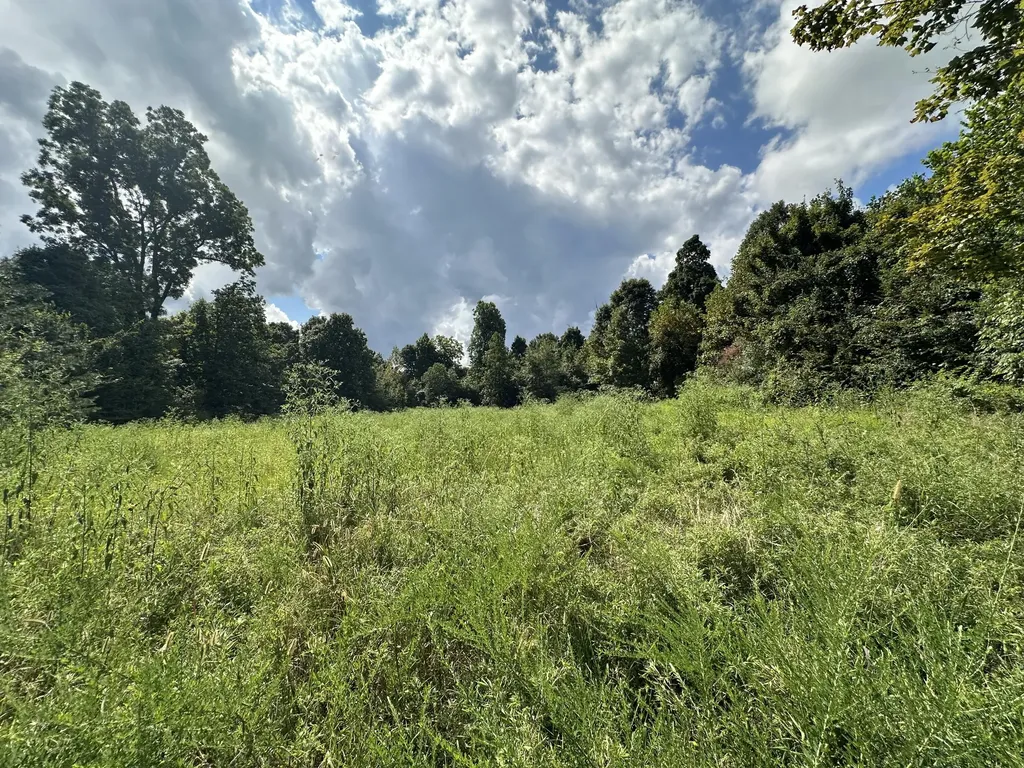 1013 Donahue Princeton KY 42445