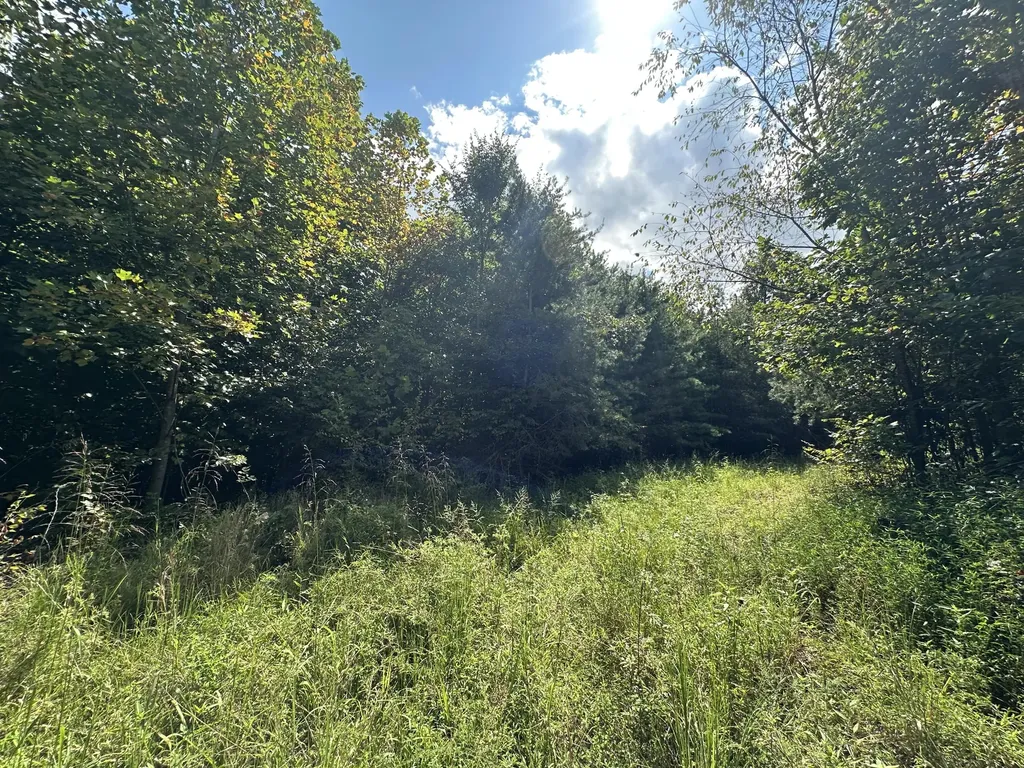 1013 Donahue Princeton KY 42445