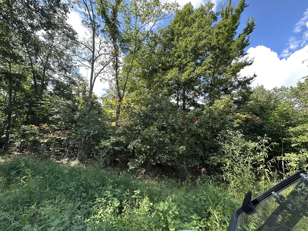 1013 Donahue Princeton KY 42445