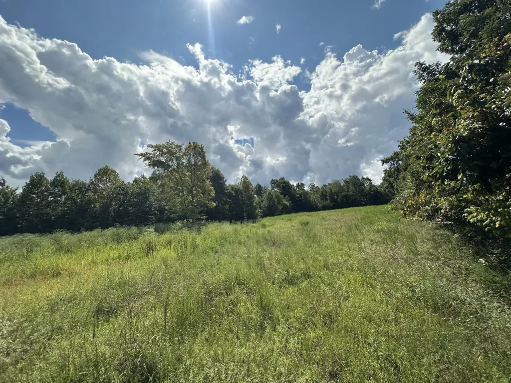 1013 Donahue Princeton KY 42445