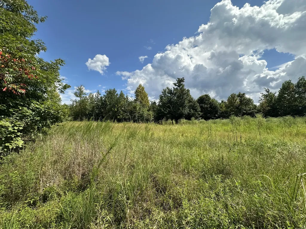 1013 Donahue Princeton KY 42445