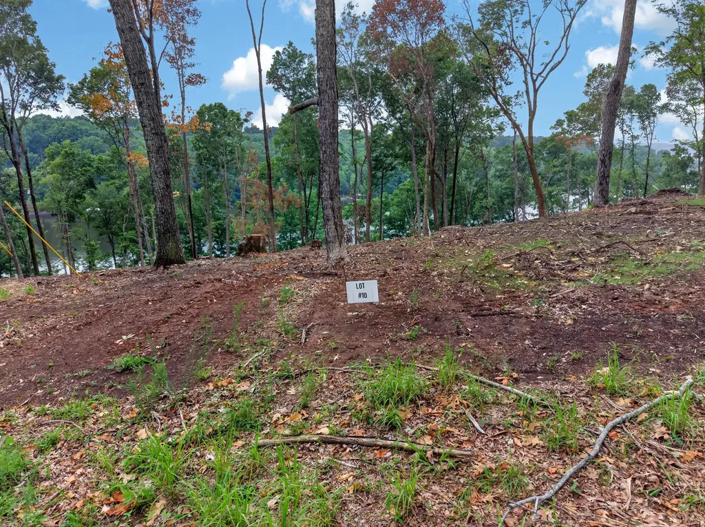 Lot 10 Elwood Road Eddyville KY 42038