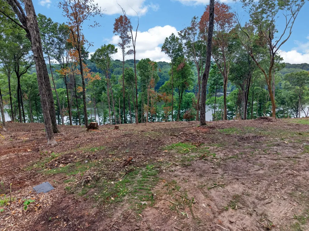 Lot 10 Elwood Road Eddyville KY 42038