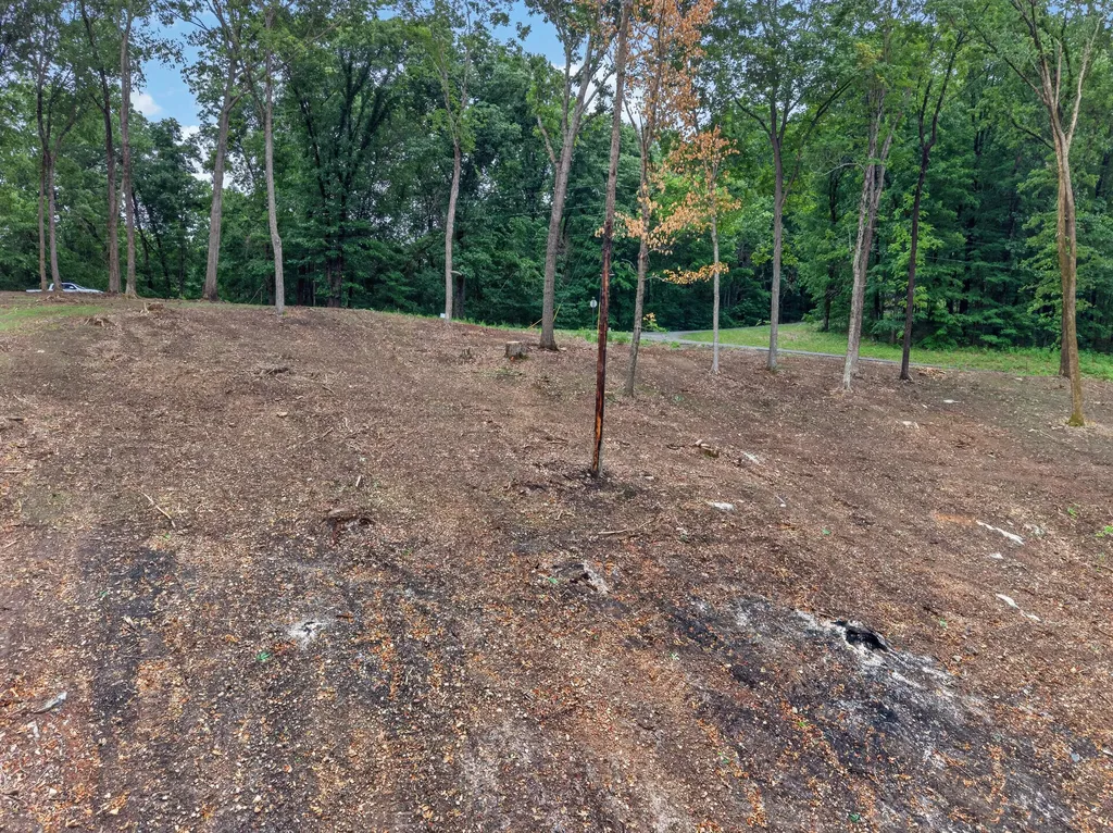 Lot 10 Elwood Road Eddyville KY 42038