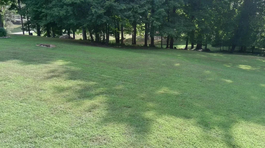 76 Rolling Mill Road Eddyville KY 42038