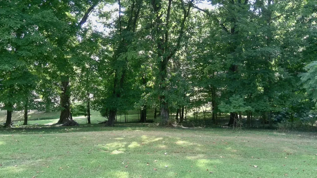 76 Rolling Mill Road Eddyville KY 42038