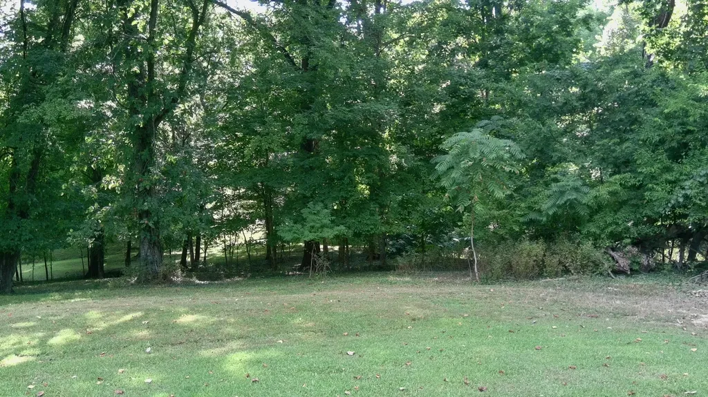 76 Rolling Mill Road Eddyville KY 42038