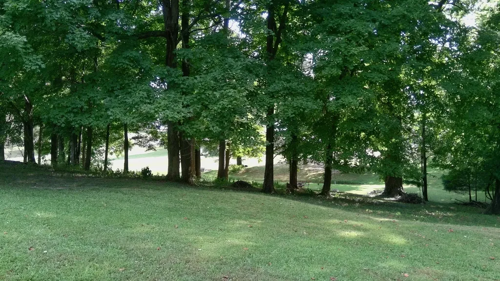 76 Rolling Mill Road Eddyville KY 42038