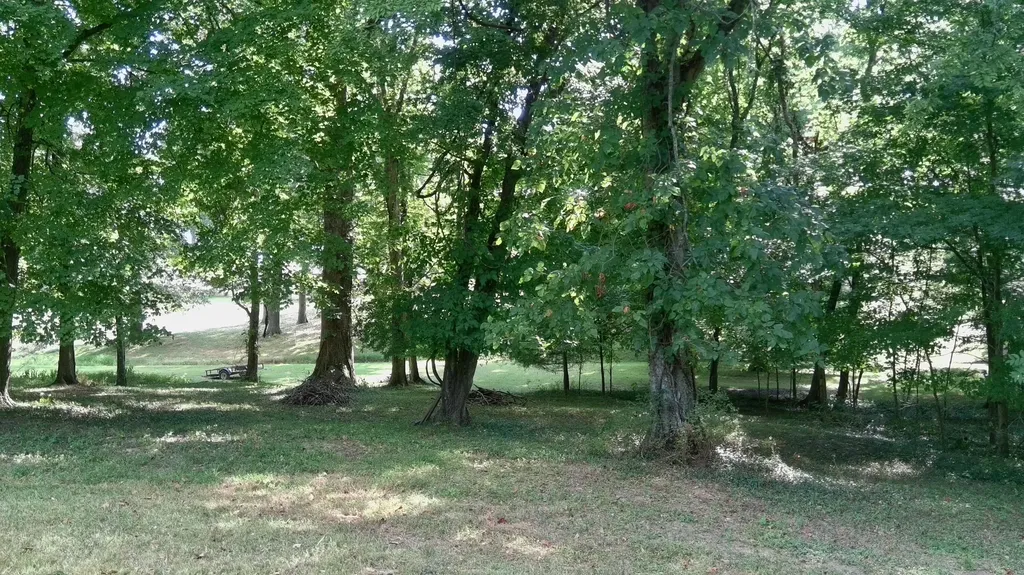 76 Rolling Mill Road Eddyville KY 42038