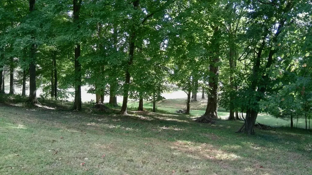 76 Rolling Mill Road Eddyville KY 42038