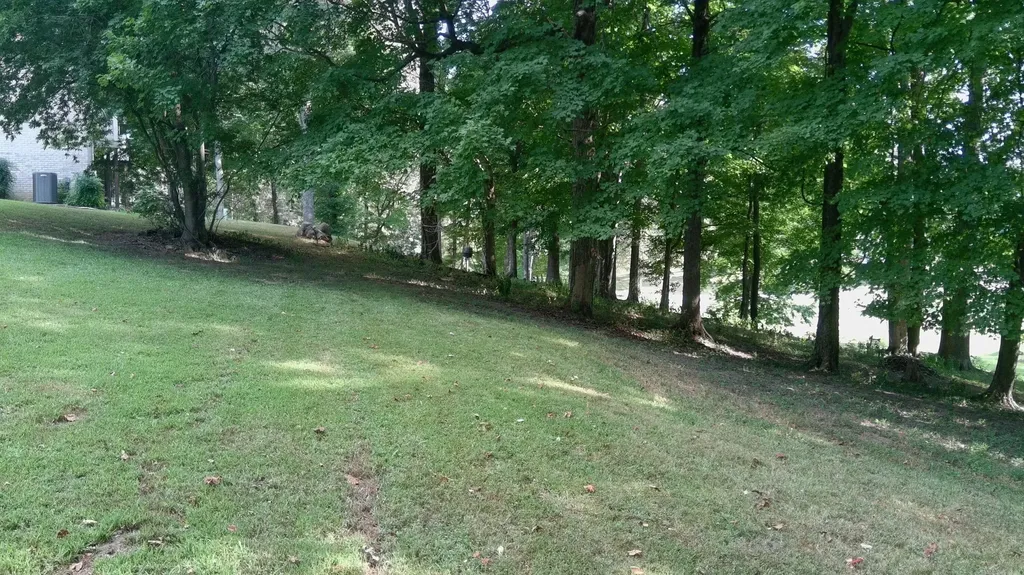 76 Rolling Mill Road Eddyville KY 42038