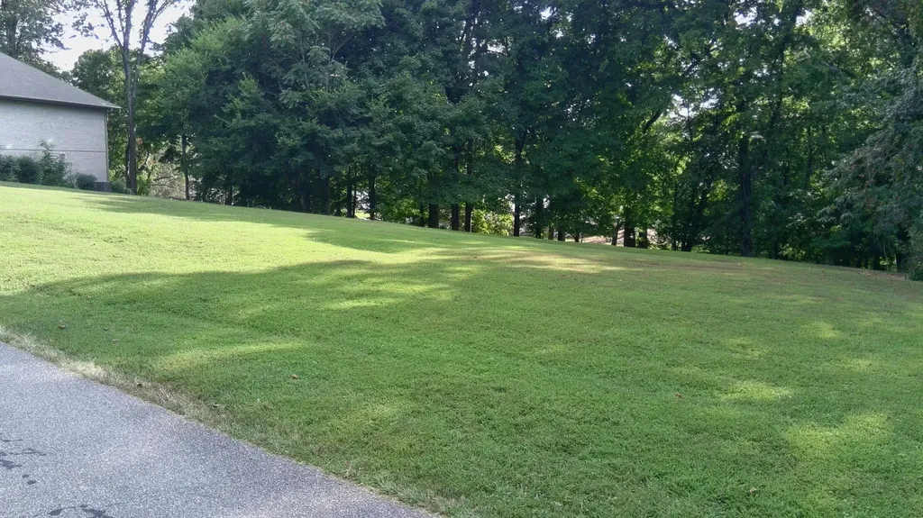 76 Rolling Mill Road Eddyville KY 42038