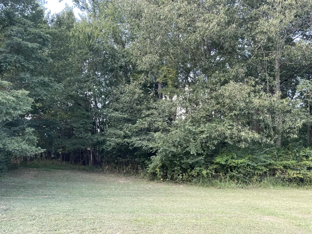 Lot 39 Saddle Creek Subdivision Murray KY 42071