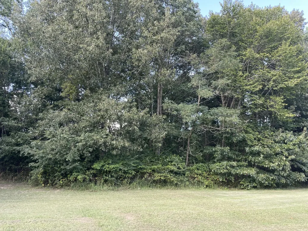 Lot 39 Saddle Creek Subdivision Murray KY 42071