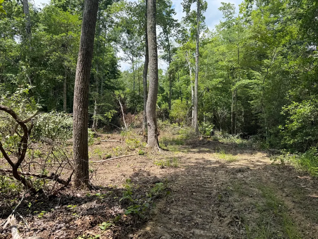 121212 Gibson Lane Williamsburg KY 40769