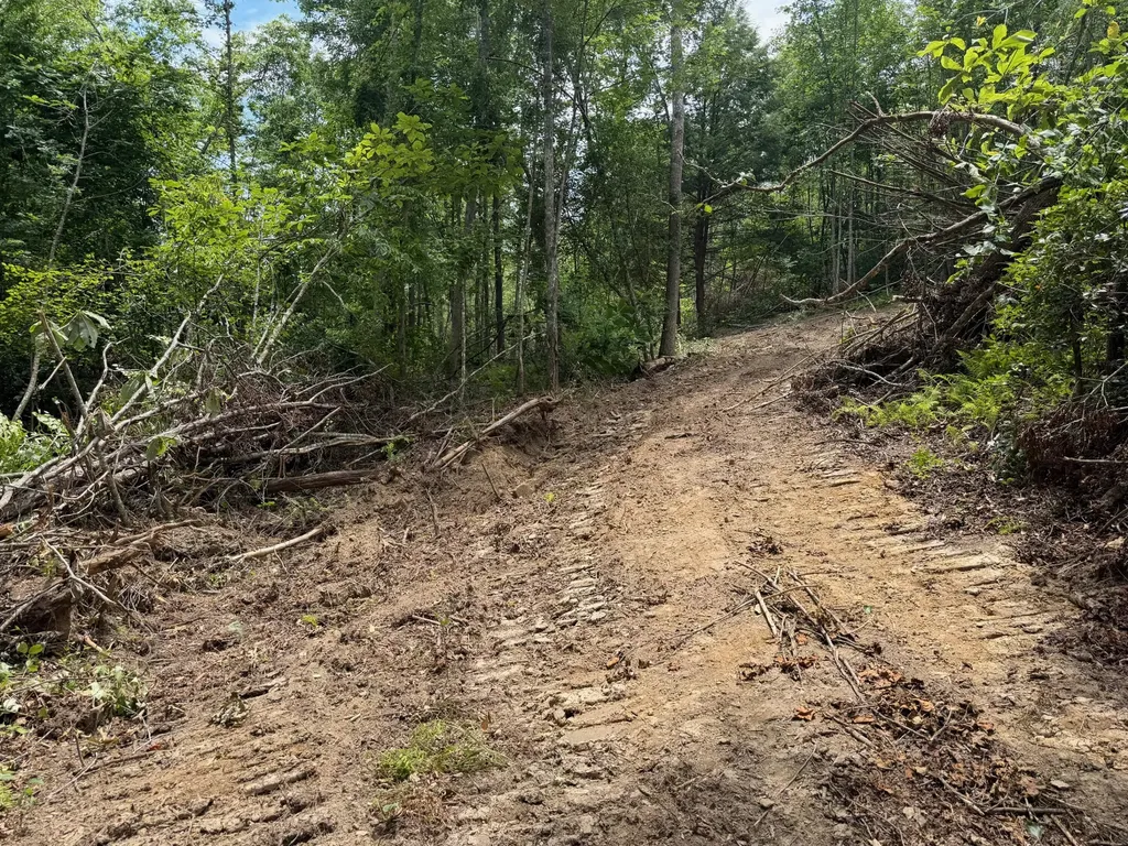 121212 Gibson Lane Williamsburg KY 40769