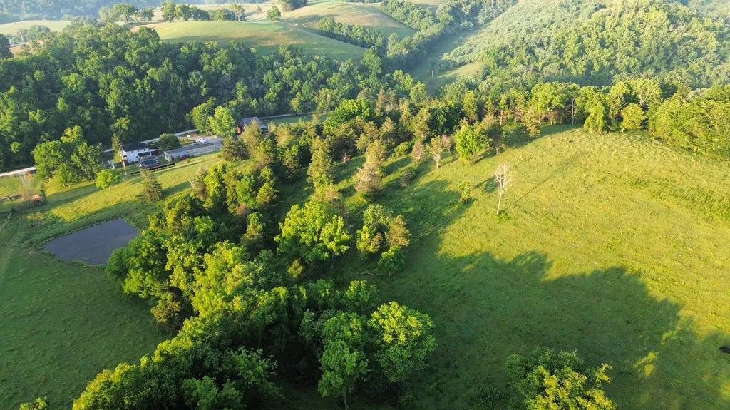 180 Ceder Road Owingsville KY 40360
