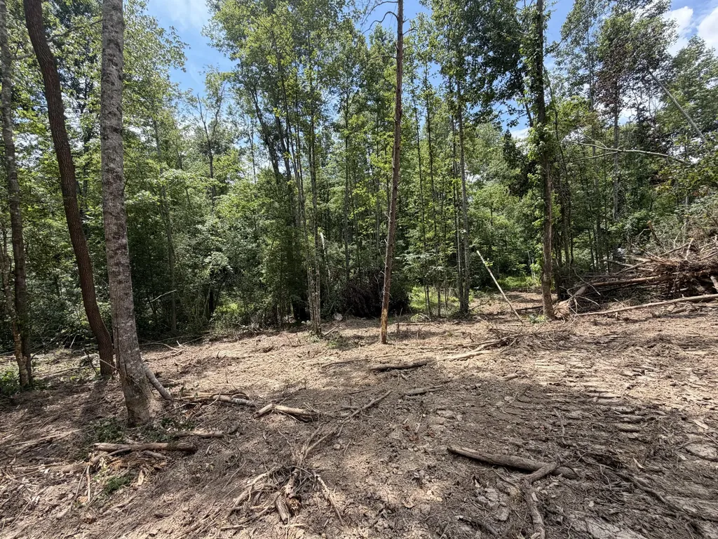 101010 Gibson Lane Williamsburg KY 40769