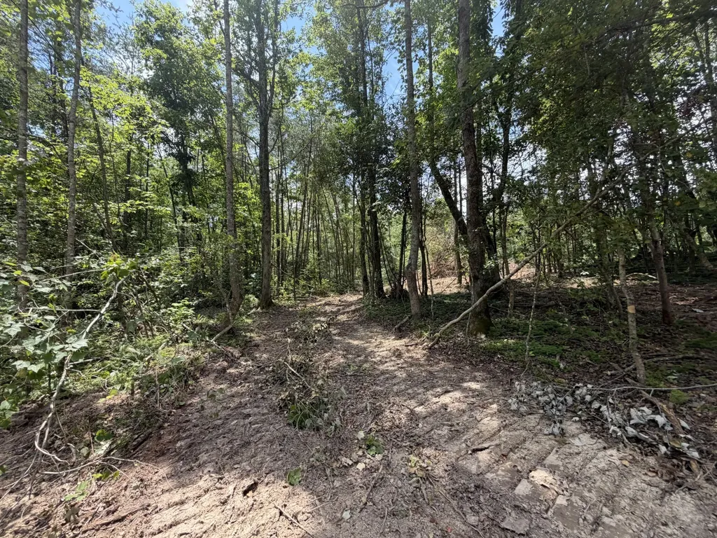 101010 Gibson Lane Williamsburg KY 40769