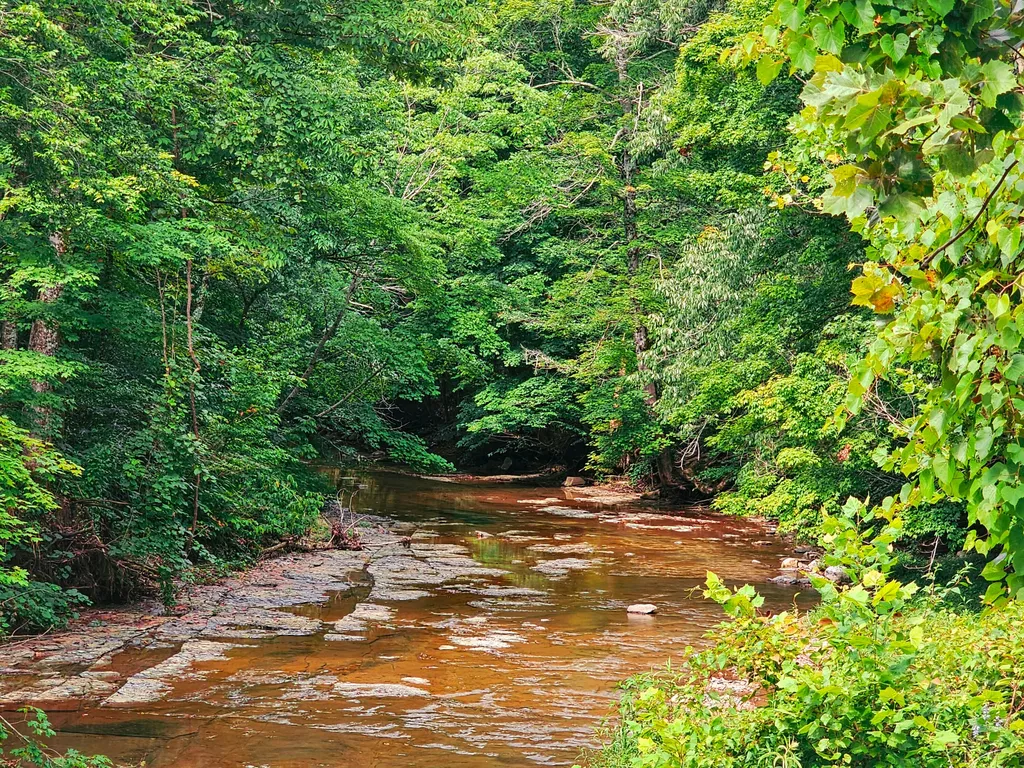 2122 Upper Brush Creek Road Hustonville KY 40437