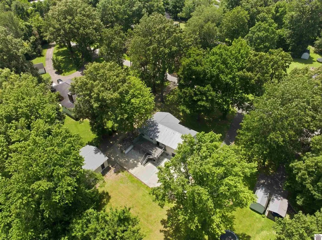 145 Treeland Drive Mayfield KY 42066