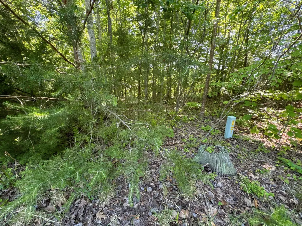 4 Village Court Russell Springs KY 42642
