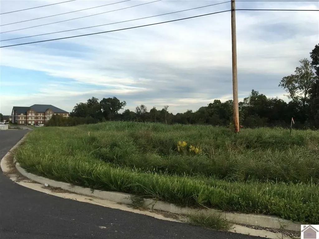 0000 0 Access Road Benton KY 42025