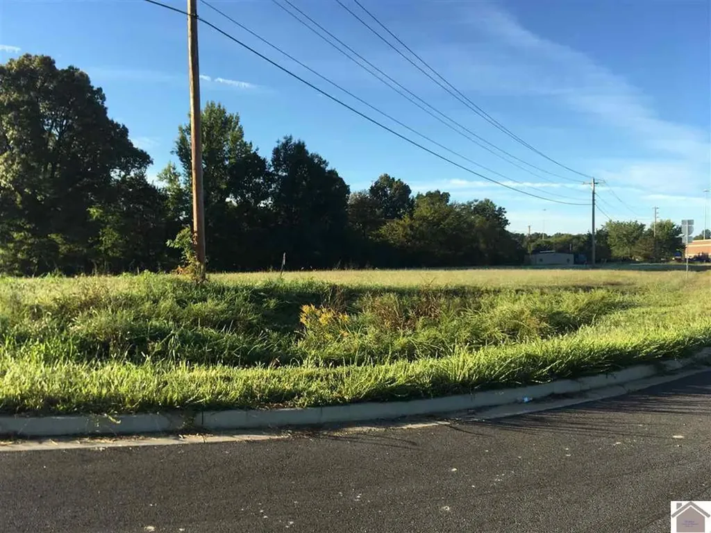 0000 0 Access Road Benton KY 42025