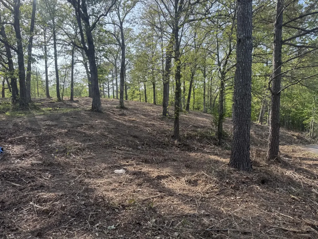 1 Sauger Lane Murray KY 42071