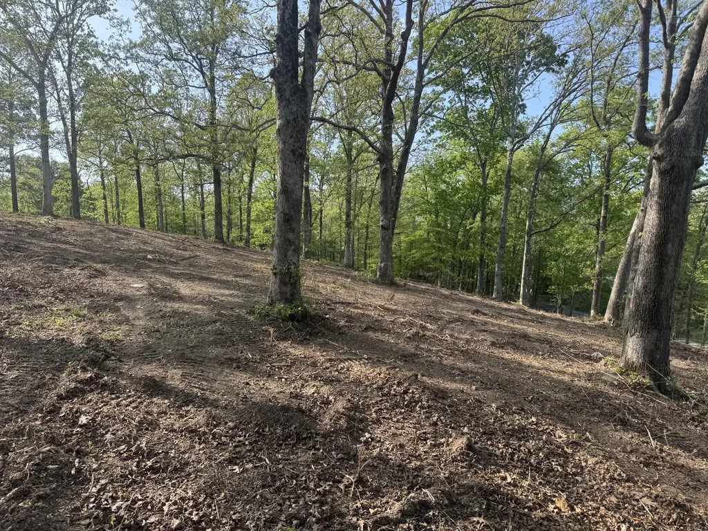 1 Sauger Lane Murray KY 42071