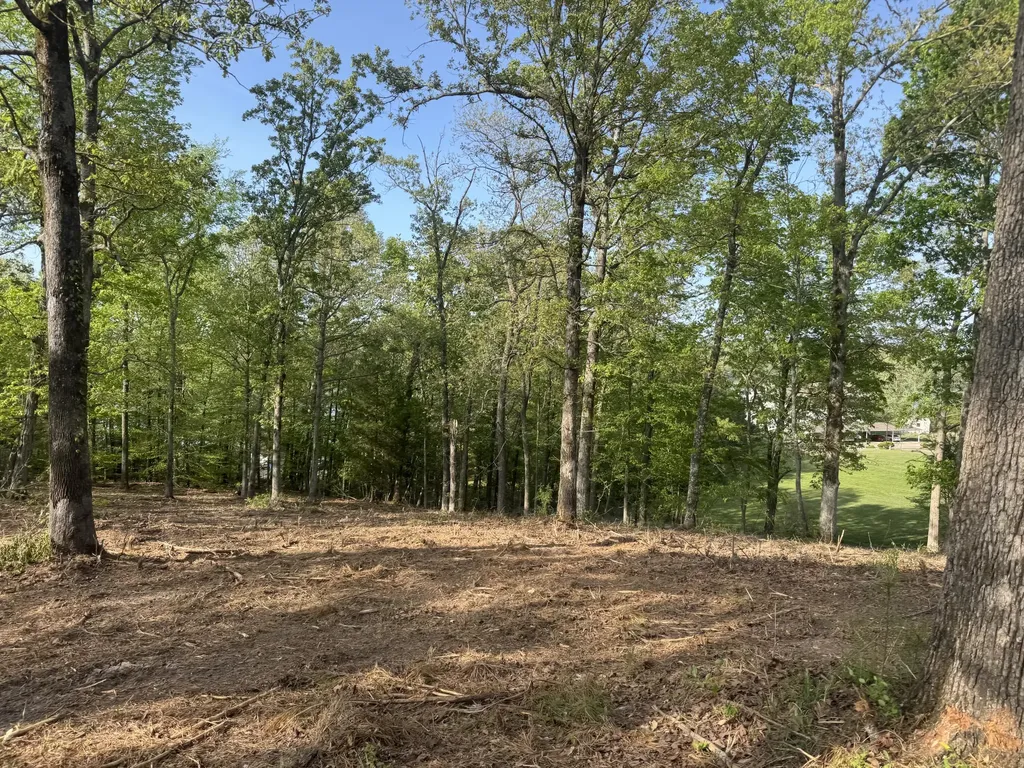 1 Sauger Lane Murray KY 42071