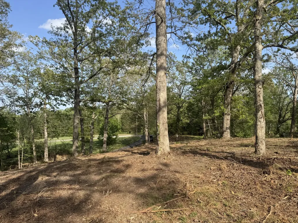 1 Sauger Lane Murray KY 42071