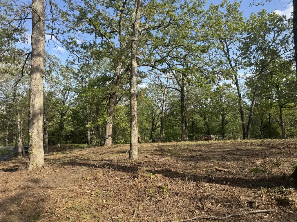 1 Sauger Lane Murray KY 42071