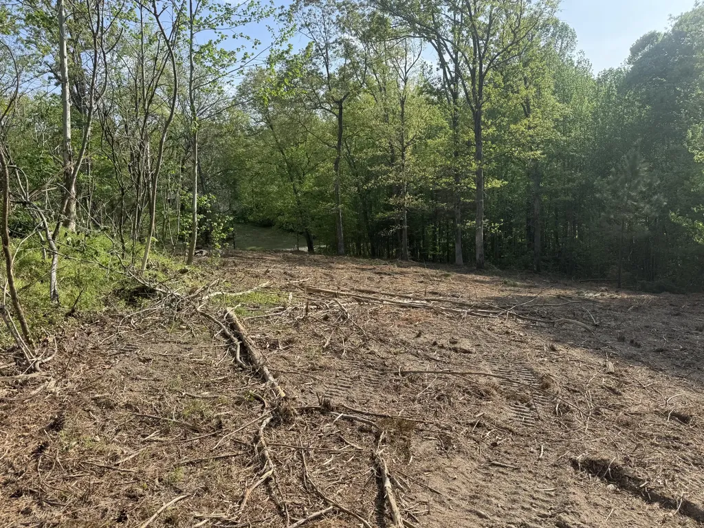 1 Sauger Lane Murray KY 42071