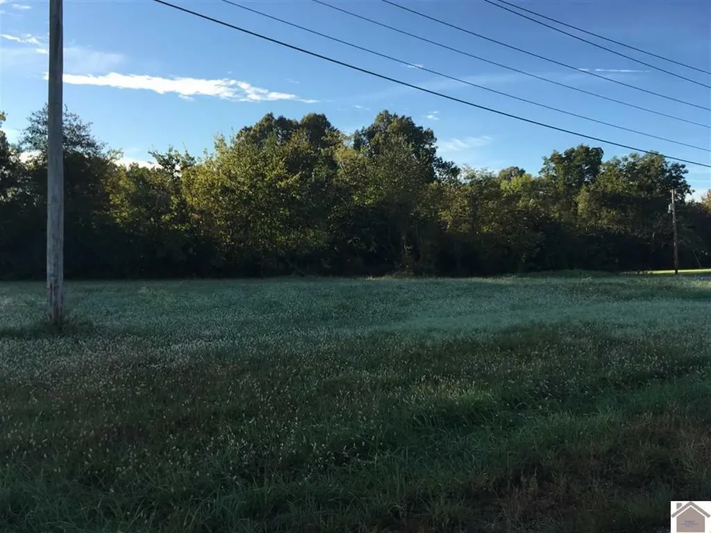0000 0 Access Road Benton KY 42025