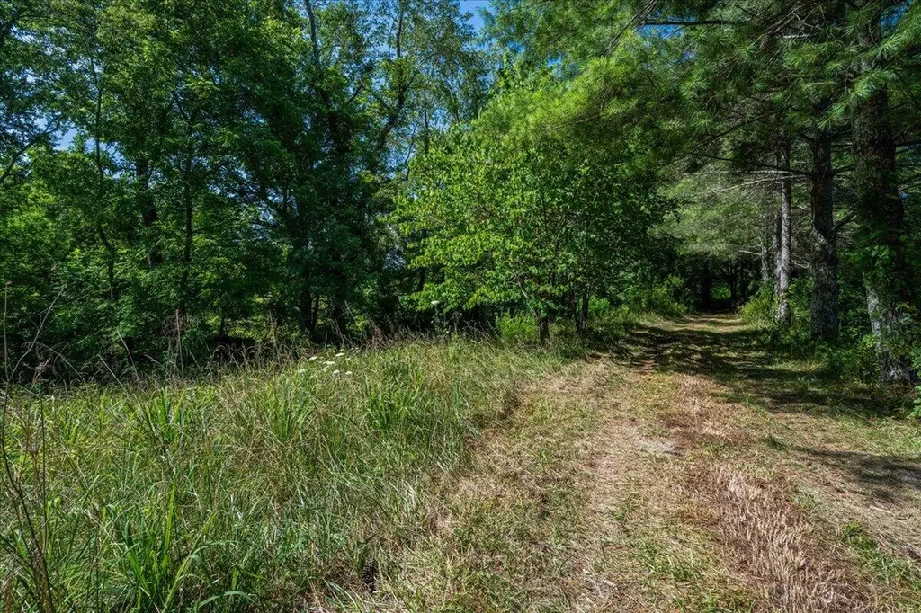 644 Maple Grove Road London KY 40744
