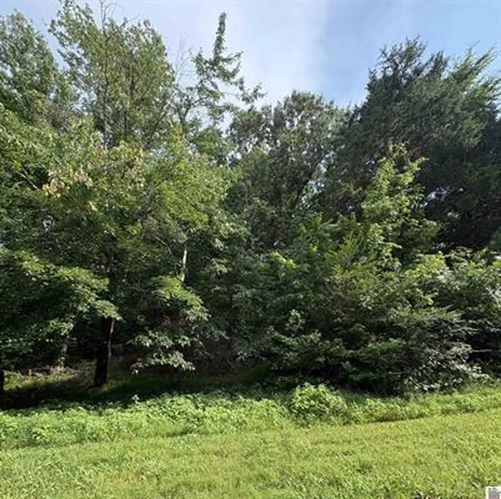 157 Deepwood Drive Murray KY 42071