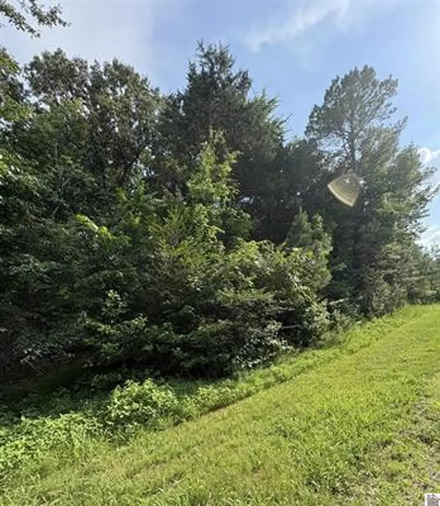 157 Deepwood Drive Murray KY 42071