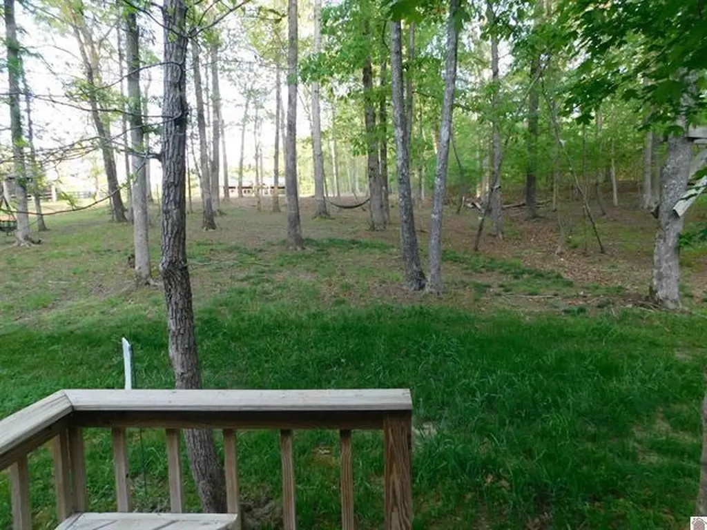 92 Clara Lane Benton KY 42025