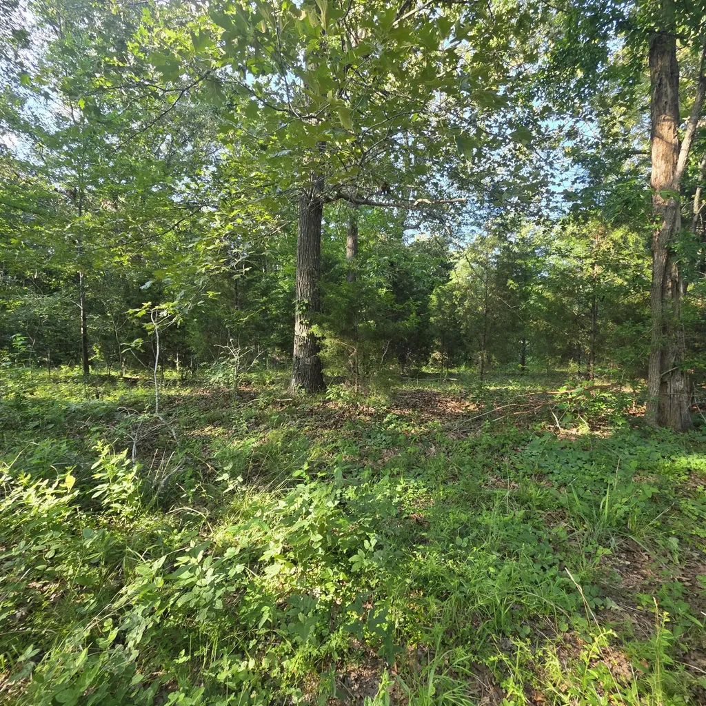 999 Valhalla Lane Benton KY 42025